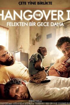 Felekten Bir Gece 2 İzle